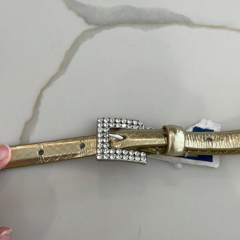 Express Gold Belt with Diamond Buckle. Large